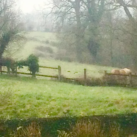Alojamento de Acomodação e Pequeno-almoço Chateau Anaselle 3*