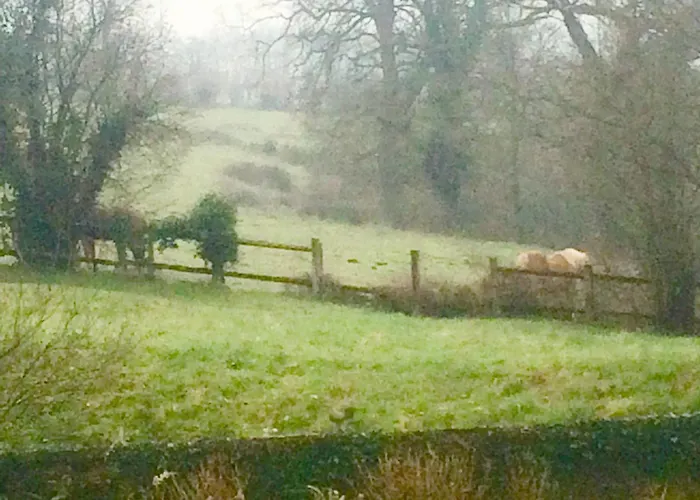 Nocleg ze śniadaniem Chateau Anaselle 3*
